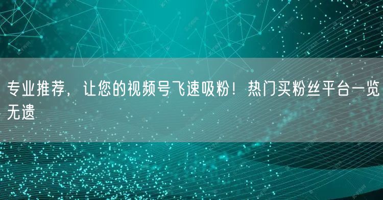 专业推荐，让您的视频号飞速吸粉！热门买粉丝平台一览无遗