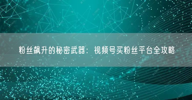 粉丝飙升的秘密武器：视频号买粉丝平台全攻略