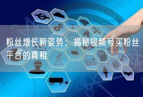 粉丝增长新姿势：揭秘视频号买粉丝平台的真相