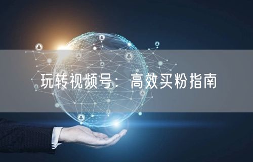 玩转视频号：高效买粉指南
