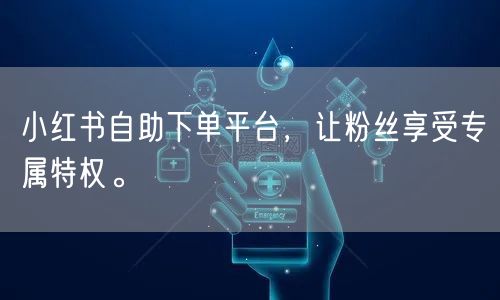 小红书自助下单平台，让粉丝享受专属特权。