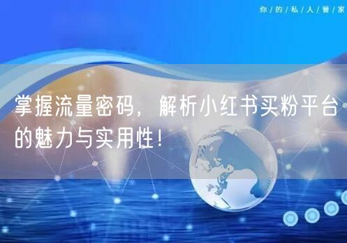 掌握流量密码，解析小红书买粉平台的魅力与