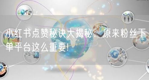 小红书点赞秘诀大揭秘：原来粉丝下单平台这么重要!