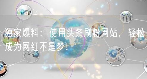 独家爆料：使用头条刷粉网站，轻松成为网红