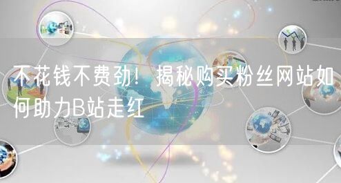 不花钱不费劲！揭秘购买粉丝网站如何助力B站走红