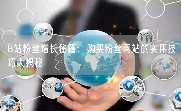 B站粉丝增长秘籍：购买粉丝网站的实用技巧大揭秘