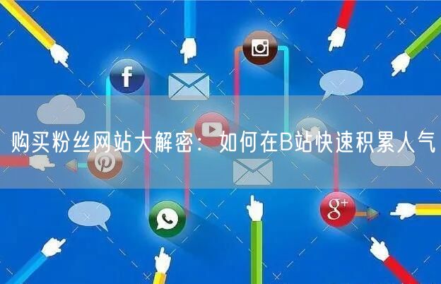 购买粉丝网站大解密：如何在B站快速积累人气