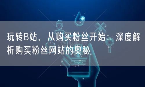 玩转B站，从购买粉丝开始：深度解析购买粉丝网站的奥秘