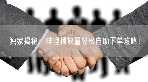 独家揭秘：哔哩播放量轻松自助下单攻略！