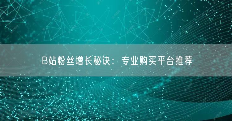 B站粉丝增长秘诀：专业购买平台推荐