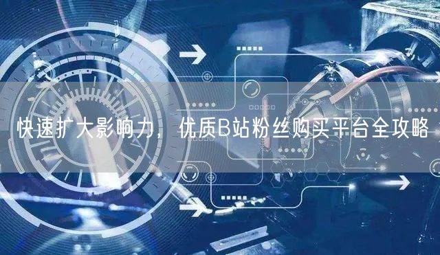 快速扩大影响力，优质B站粉丝购买平台全攻