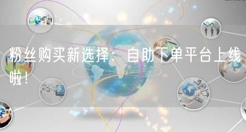 粉丝购买新选择：自助下单平台上线啦！