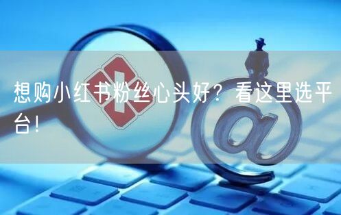 想购小红书粉丝心头好？看这里选平台！