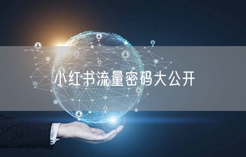小红书流量密码大公开