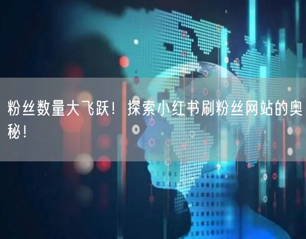 粉丝数量大飞跃！探索小红书刷粉丝网站的奥秘！