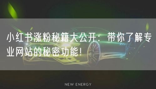 小红书涨粉秘籍大公开：带你了解专业网站的秘密功能！