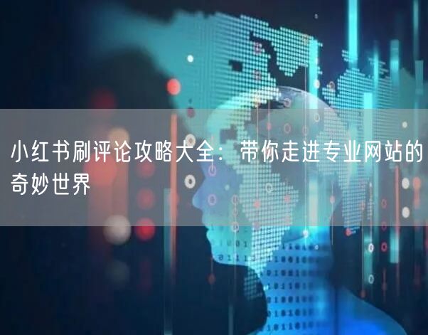 小红书刷评论攻略大全：带你走进专业网站的奇妙世界