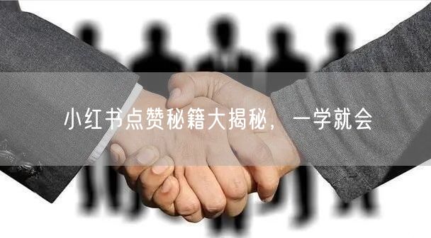 小红书点赞秘籍大揭秘，一学就会