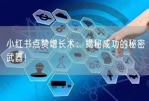 小红书点赞增长术：揭秘成功的秘密武器！