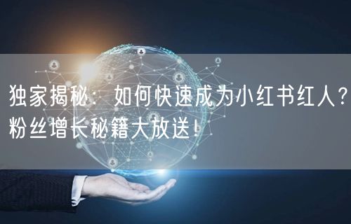 独家揭秘：如何快速成为小红书红人？粉丝增长秘籍大放送！