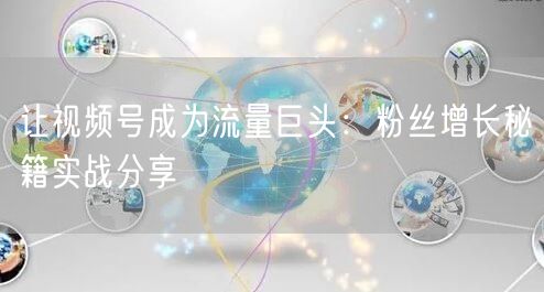 让视频号成为流量巨头：粉丝增长秘籍实战分