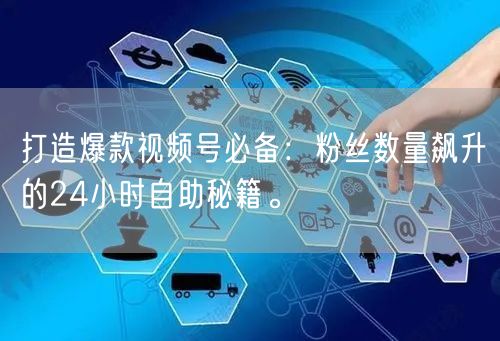 打造爆款视频号必备：粉丝数量飙升的24小时自助秘籍。