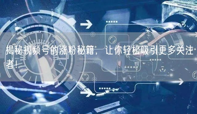 揭秘视频号的涨粉秘籍，让你轻松吸引更多关