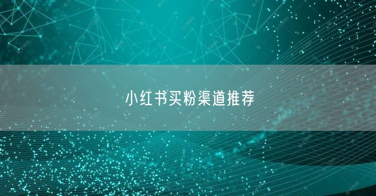 小红书买粉渠道推荐