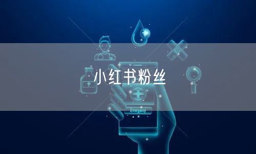 小红书粉丝