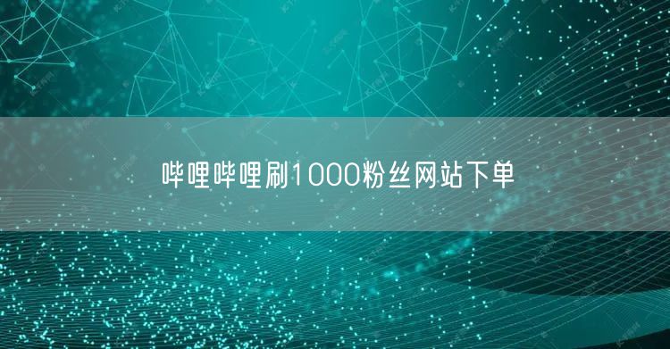 哔哩哔哩刷1000粉丝网站下单