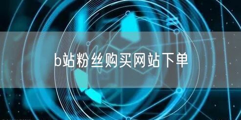 b站粉丝购买网站下单
