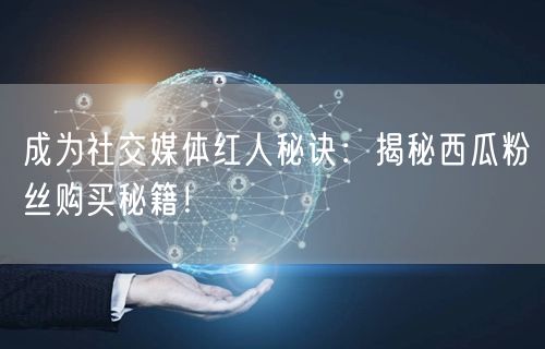 成为社交媒体红人秘诀：揭秘西瓜粉丝购买秘籍！