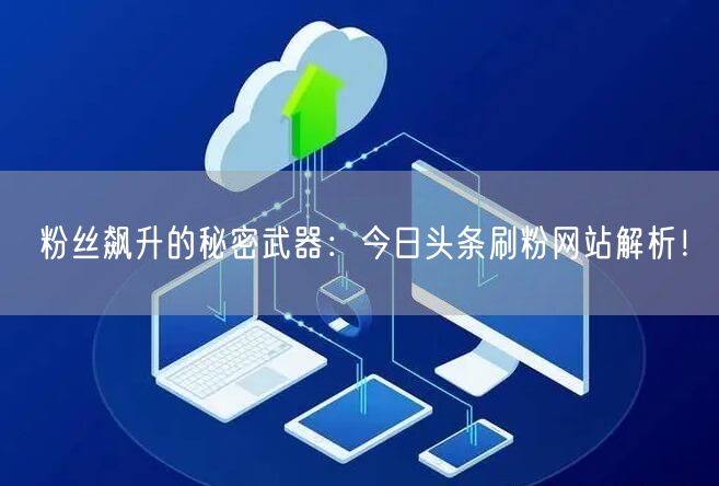 粉丝飙升的秘密武器：今日头条刷粉网站解析！