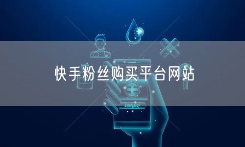 快手粉丝购买平台网站