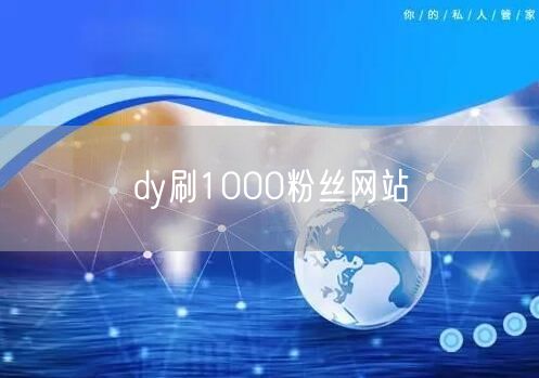 dy刷1000粉丝网站