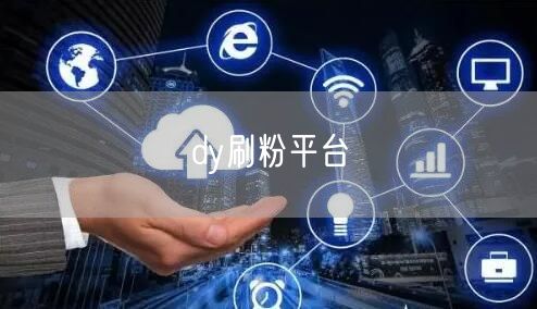 dy刷粉平台