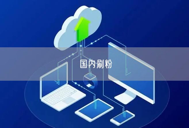 国内刷粉