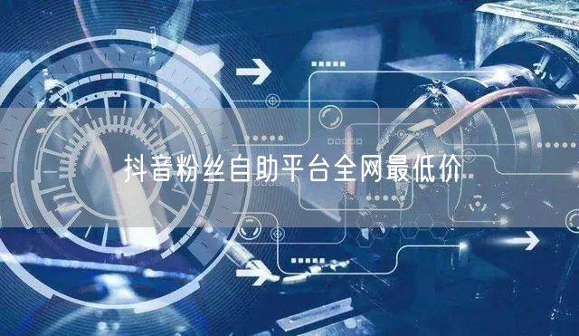 抖音粉丝自助平台全网最低价