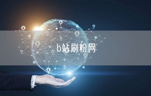 b站刷粉网