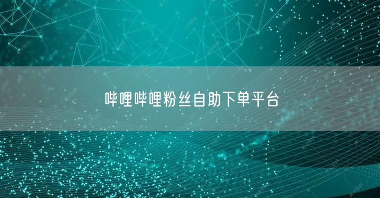 哔哩哔哩粉丝自助下单平台