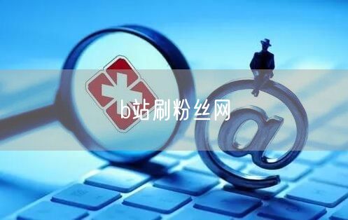 b站刷粉丝网