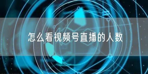 怎么看视频号直播的人数