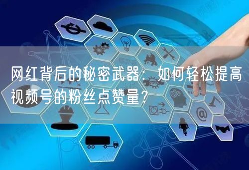 网红背后的秘密武器：如何轻松提高视频号的粉丝点赞量？
