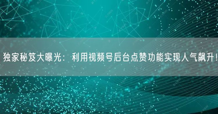 独家秘笈大曝光：利用视频号后台点赞功能实