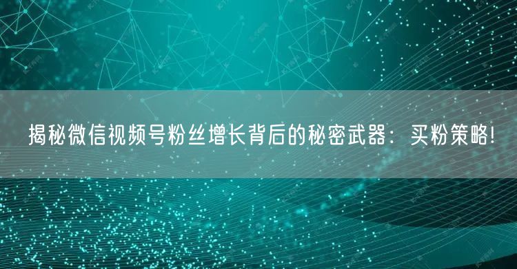 揭秘微信视频号粉丝增长背后的秘密武器：买粉策略!