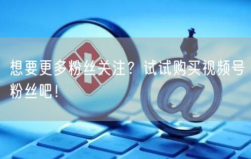 想要更多粉丝关注？试试购买视频号粉丝吧！