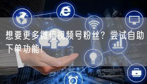 想要更多微信视频号粉丝？尝试自助下单功能！