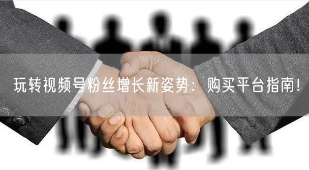 玩转视频号粉丝增长新姿势：购买平台指南！