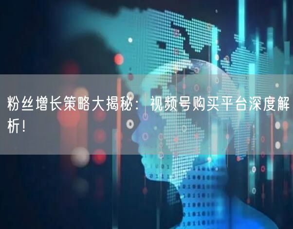 粉丝增长策略大揭秘：视频号购买平台深度解析！