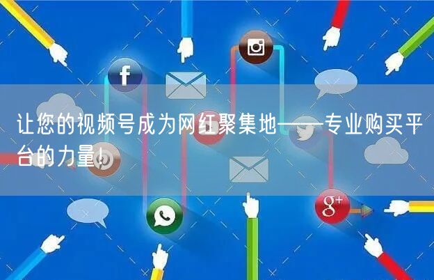 让您的视频号成为网红聚集地——专业购买平台的力量！
